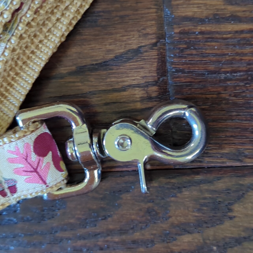 YOU HAD ME AT WOOF I Fall Autumn Squirrel Themed Dog Leash and Collar from Etsy - Picture 3 of 11